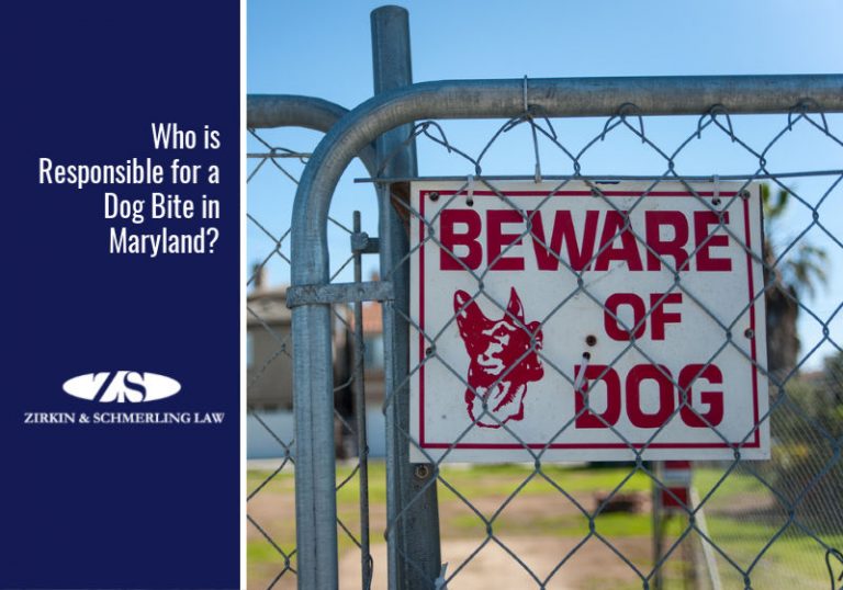 Maryland dog bite laws: Who is responsible?