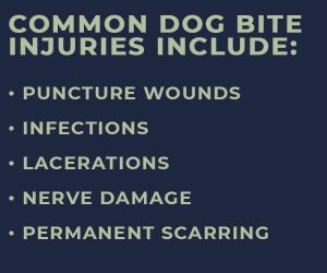 dog attack injuries