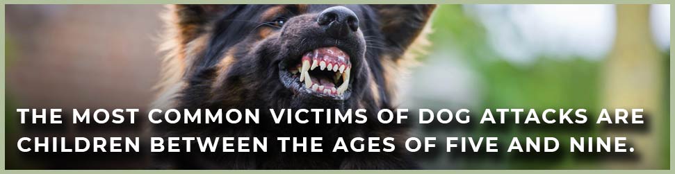 dog bite victims