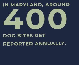 dog bites maryland