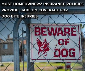 insurance policy