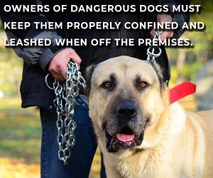 dangerous dogs