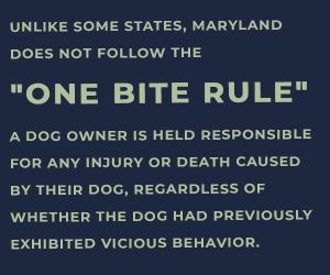 one bite rule