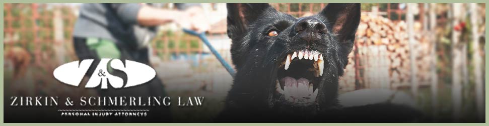 owings mills dog bite lawyer