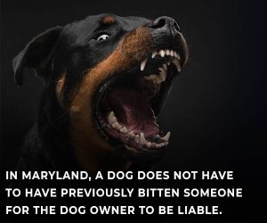 maryland dog bites