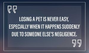 losing a pet