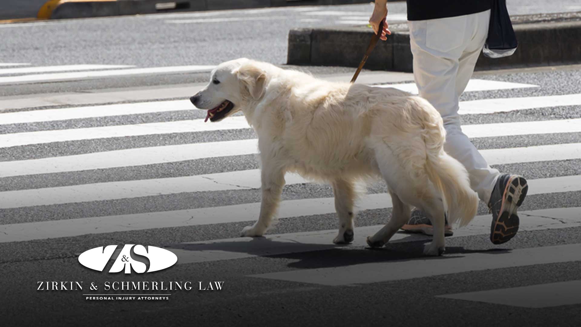 Someone Hit My Dog and Drove Away: Do I Have a Lawsuit?