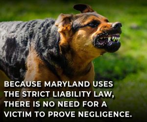 maryland dog bites