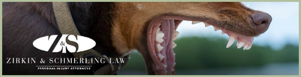 bowie maryland dog bite lawyer