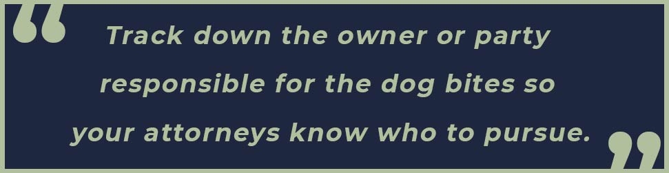 dog bite attorney in dundalk