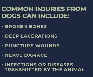 dog bite injuries